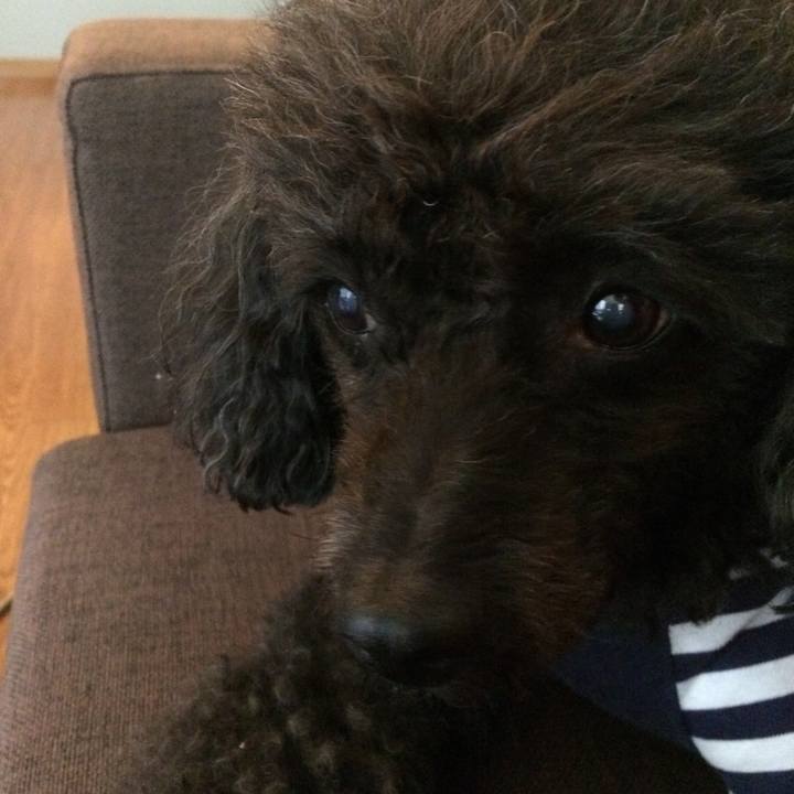 Eebcb63f 426a 43ed 95ad 6fab71b7caeb