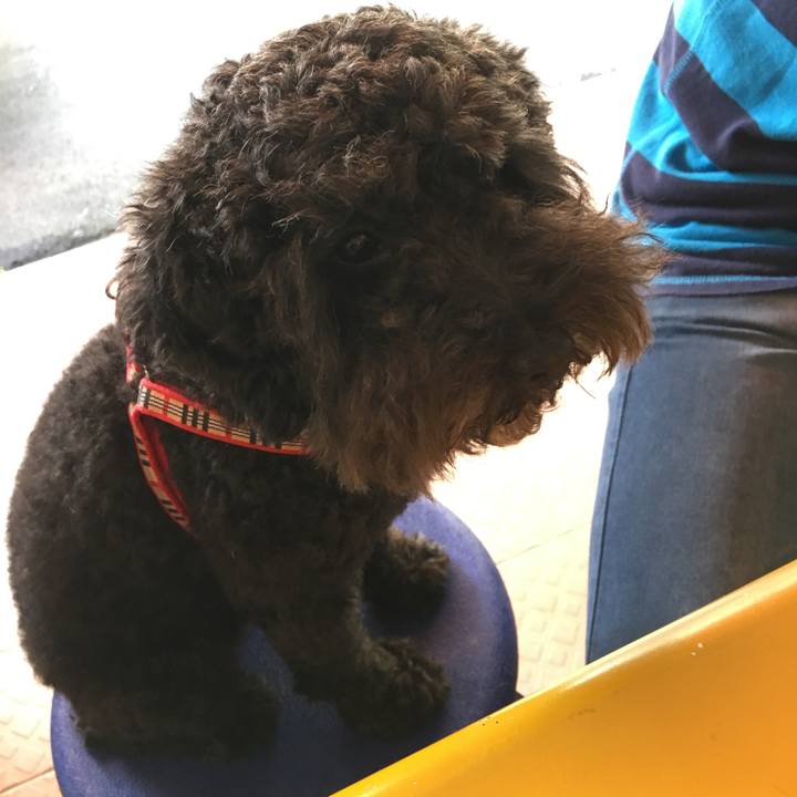 Eebce67d 7755 42ff 9108 82669708a189