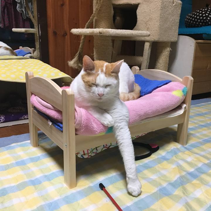 Eebdfb23 bdf4 44c8 8529 93f735dde4dd