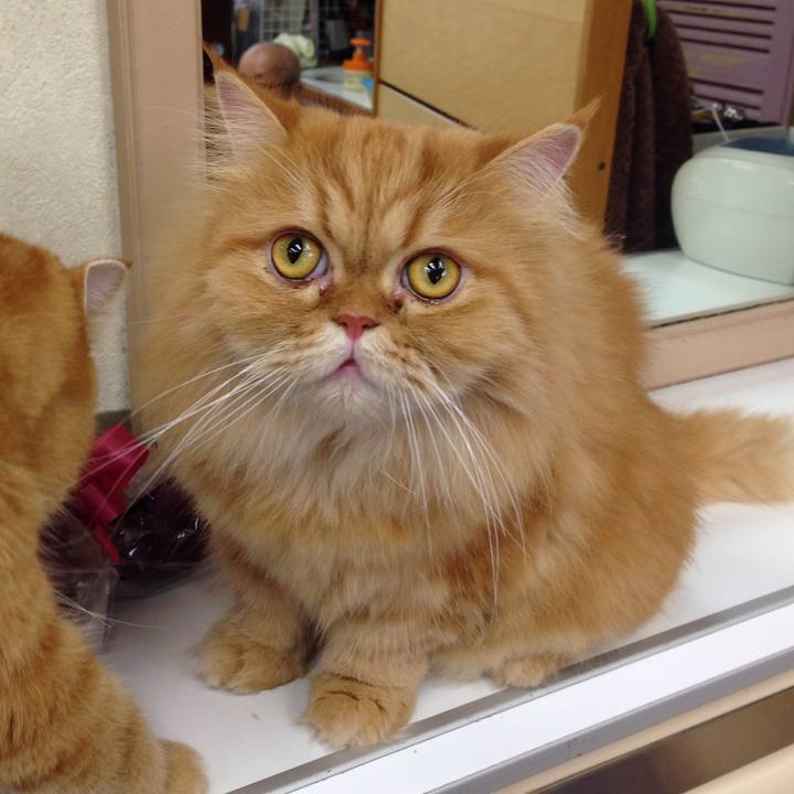 Eebeb3c4 7072 47e5 9aef 5a254e8abc5e