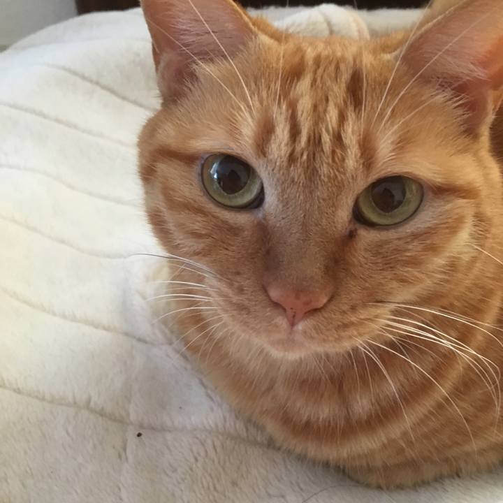 Eebef79c bda6 4505 87d2 2bddea800922