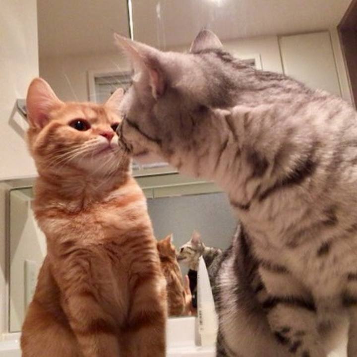 Eebfa97c 7fd6 4984 934d 0e17e8bbb0a0