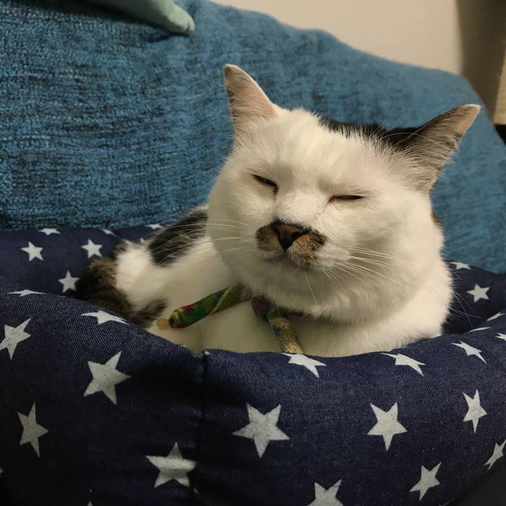 Eebfb248 2da0 4cde b7d3 616fd3238d9f