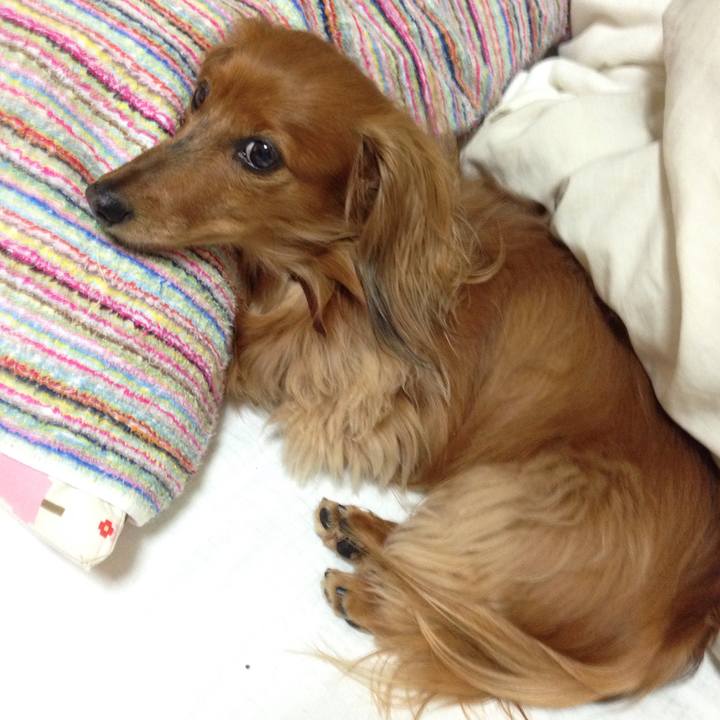 Eebfb459 f46c 4e6c a24e 7129673cf0bb