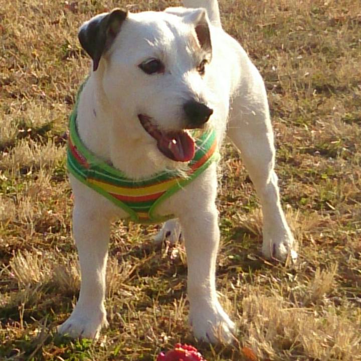 Eebfbcf3 a0e8 4ff3 9bcc 5a3e93e74136