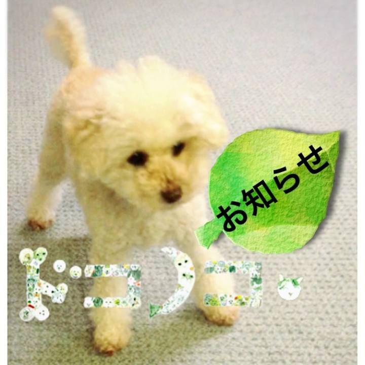 Eebfcfdd 57c4 44de 8652 469f16f8c669