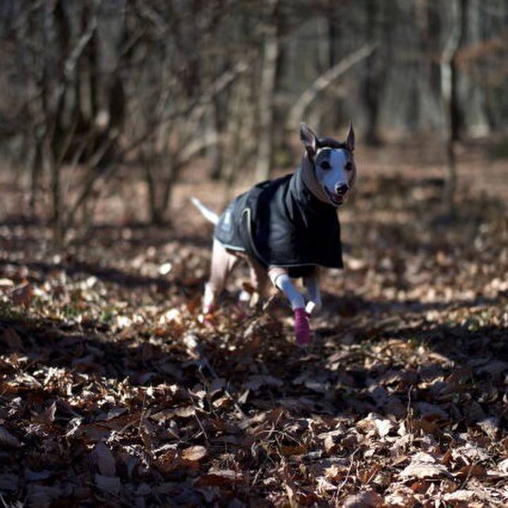 Eec00855 9dc7 4a5d b1af 887e314028fe