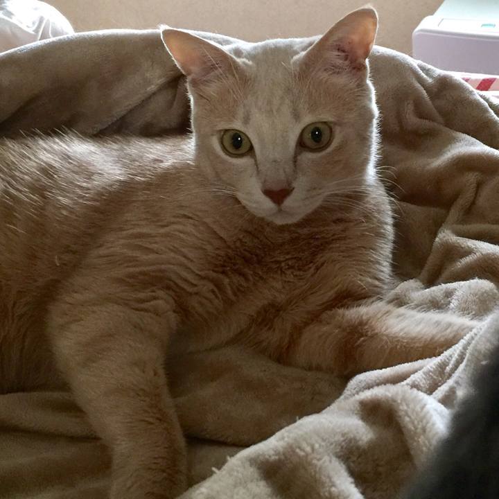 Eec0b85b 42dd 4c80 ab32 29c03de560b7