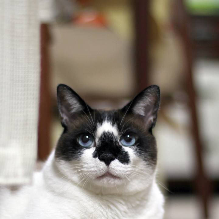 Eec11389 3cdc 49c8 80f5 b3acaafa08e0