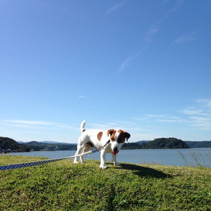 Eec12ebd 29b6 4e08 a6f2 a265ae417e9a