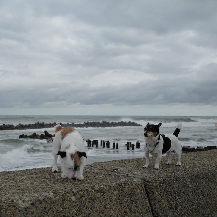 Eec1e852 3b89 4b46 9713 e426449f7871