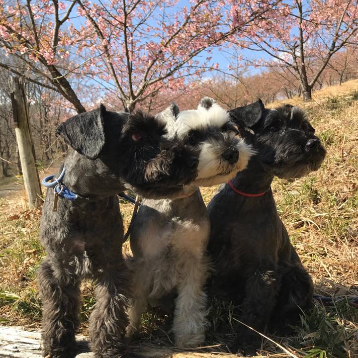 Eec21c9d bd81 4530 be08 0ae6ca5b08c0