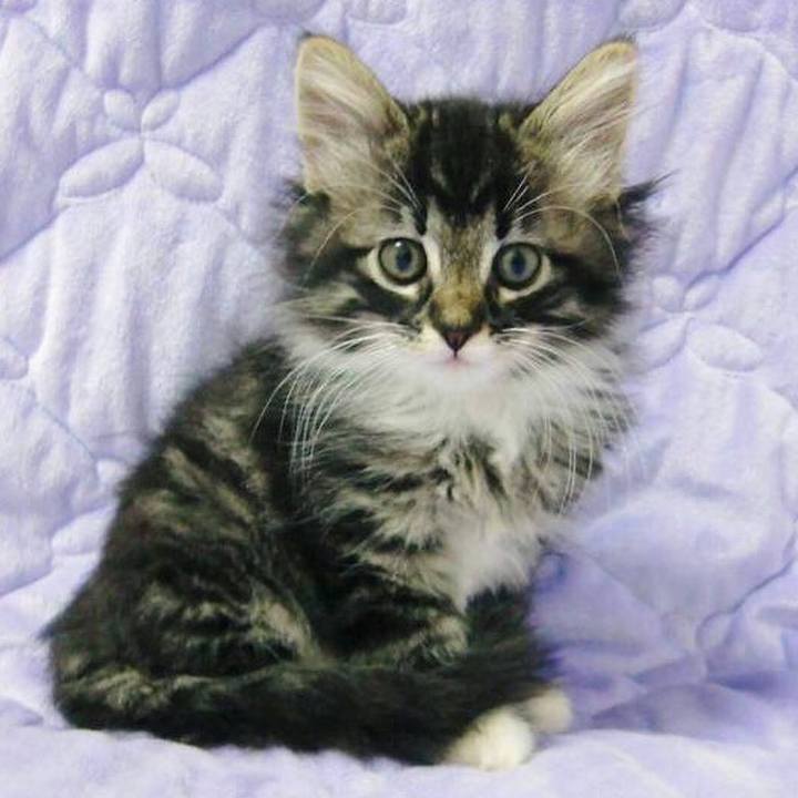 Eec2f101 2e96 4e9a a895 9c81e4c808bd