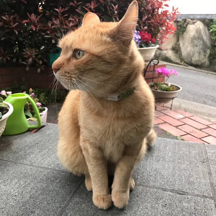 Eec40bc9 64f1 4133 b16c 85719cb23cc6