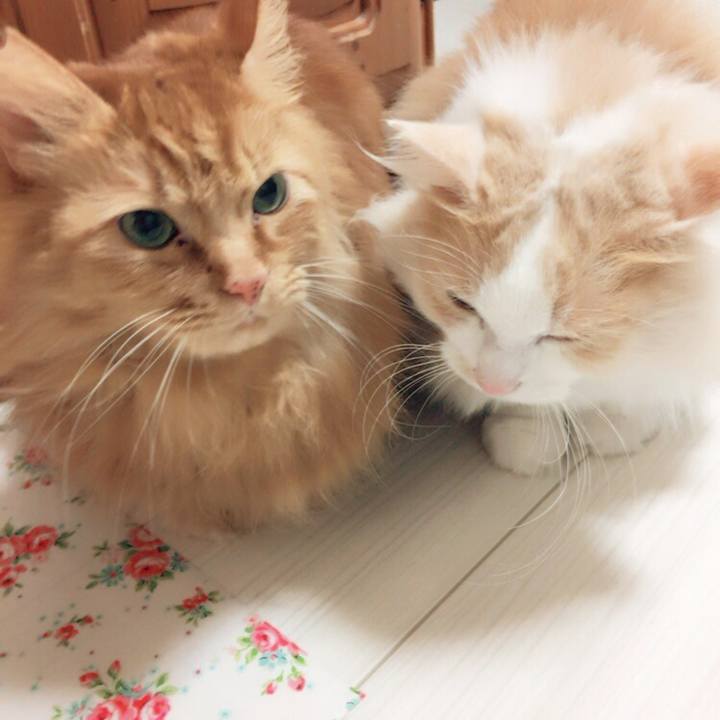 Eec51021 122e 4bf6 ad81 958142beecfd