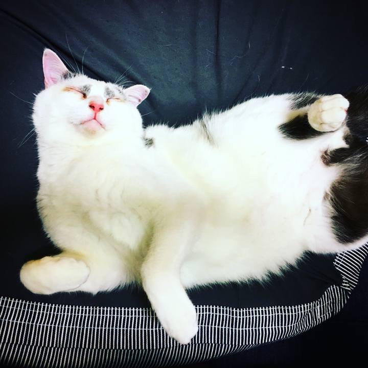 Eec57c8f 6840 4781 988e 514a60349a4e