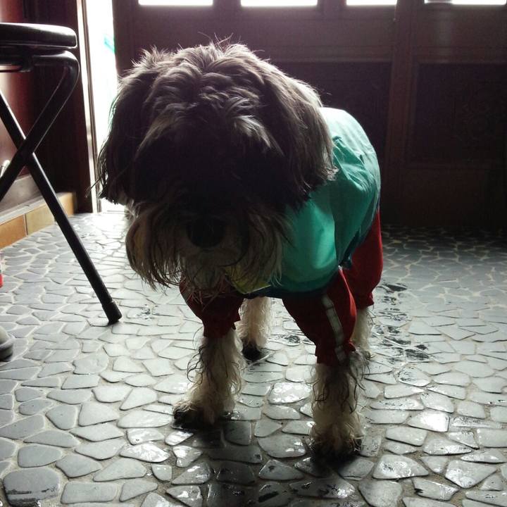 Eec60f36 f800 4374 b3aa 897f5efbd74e