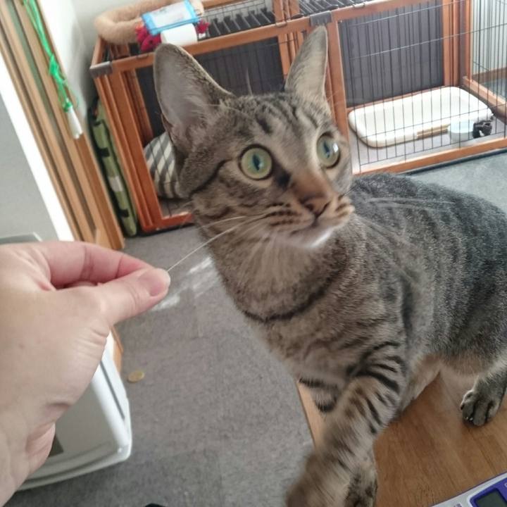 Eec6520f c969 4d78 8330 649c983ed250