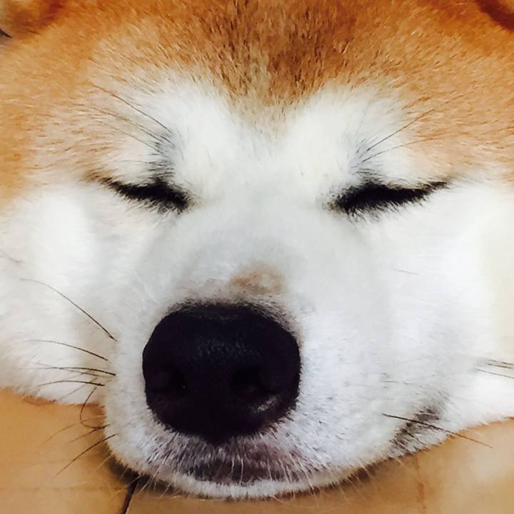 Eec6f40c 1d4d 4ed2 b720 f9839d345886