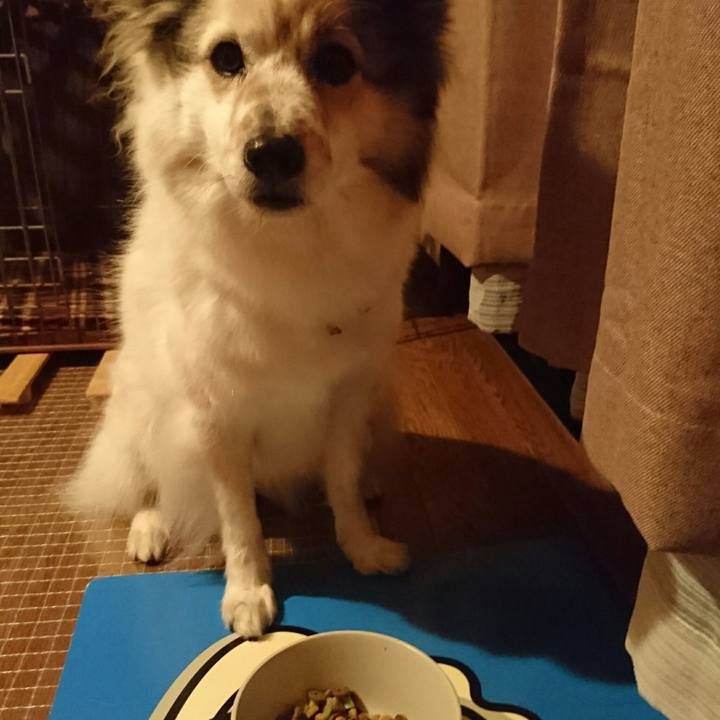 Eec752a0 c926 44cd 90f8 5ca51b4697df