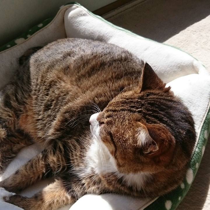 Eec75db1 7d11 4fdb aac4 7e63644f0d92