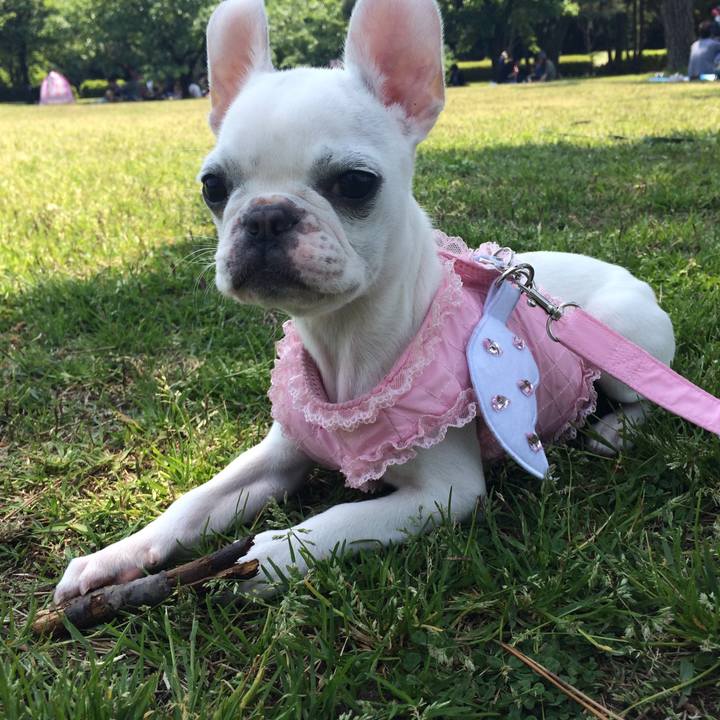 Eec8657a eb0d 4721 948a 88891226edc0