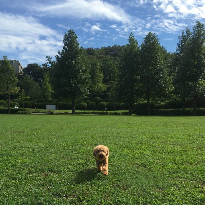 Eec88d78 9201 47d3 a5e9 1e6925d57f86