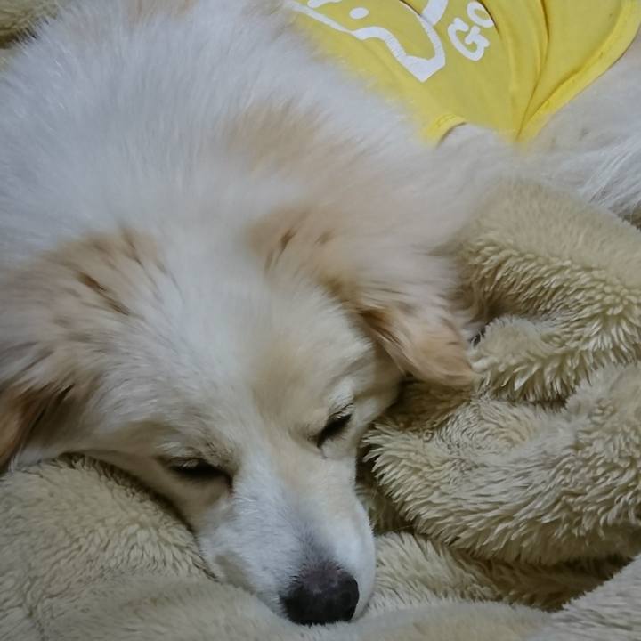 Eec99b47 3159 47c8 92b7 ea53f24aeb38