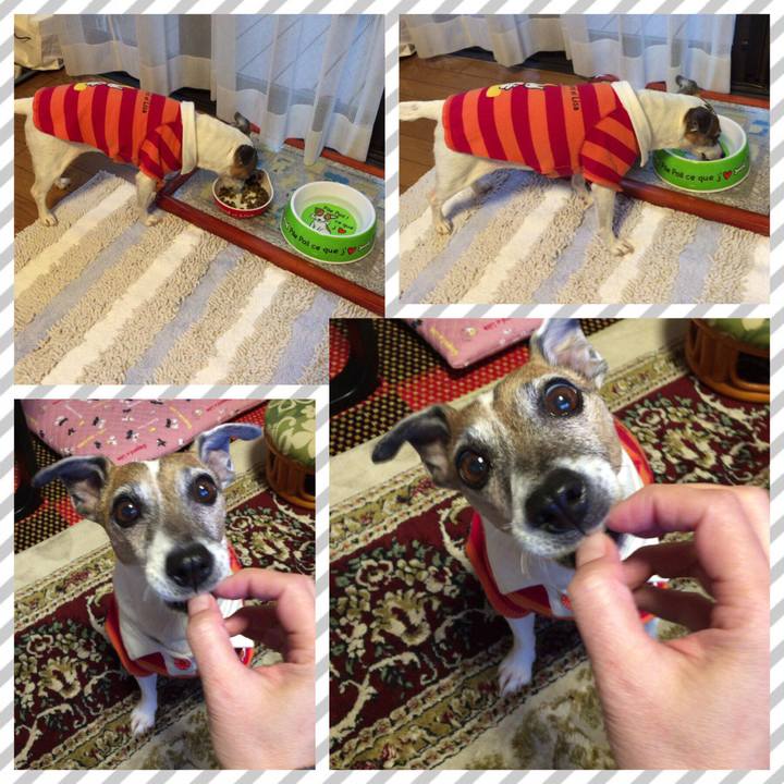 Eeca6c9b 6083 4a0c 83d4 ad92abc9dace