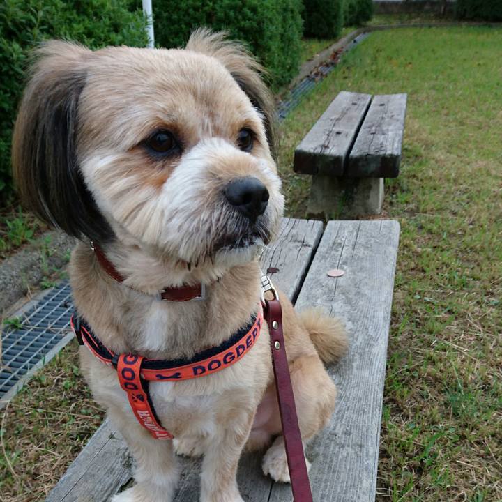 Eecae205 8fd9 41aa ac37 e7bccfad05a4