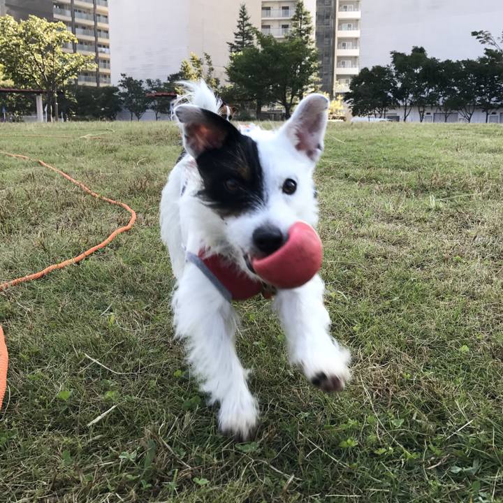 Eecba14d bad1 46e5 9b6c 5e328d4b86e3