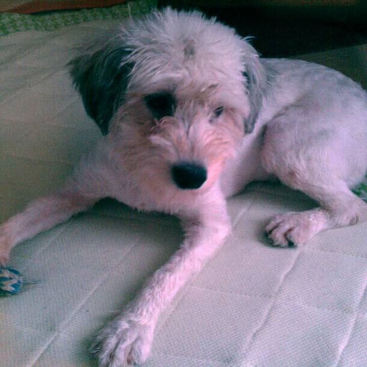 Eecbab77 f6b6 47f4 a10f f7e1df181fba