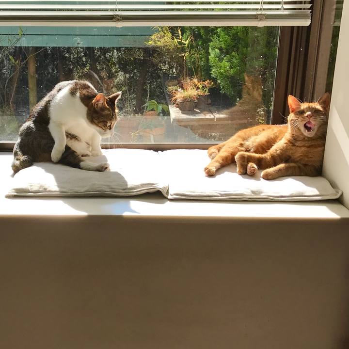 Eecbd8b3 8591 46b6 b1d9 914899afaa50