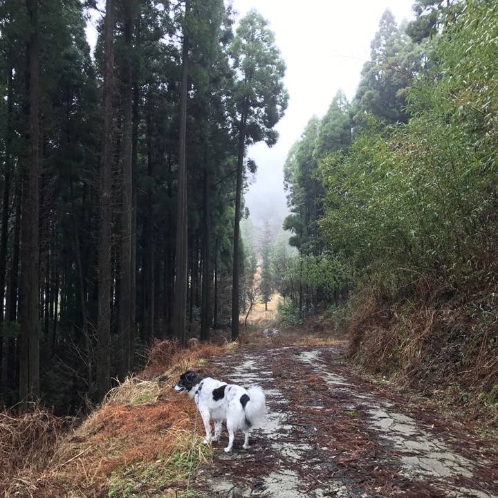 Eecbfb5a 62e5 416d b263 7e12ec816f57