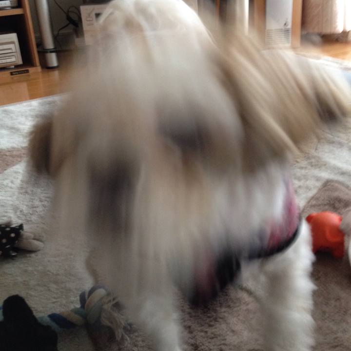 Eeccbdd9 efc0 4aa3 a289 a4ddd745b125