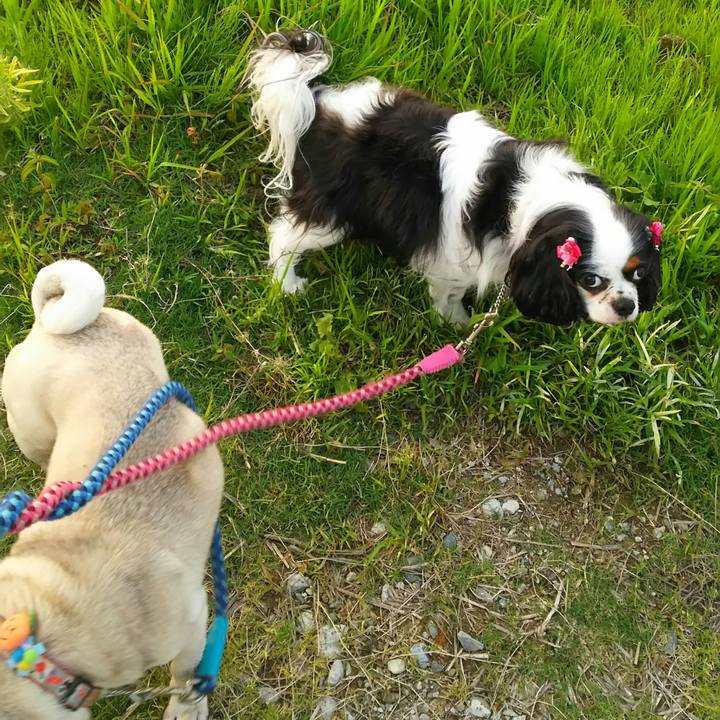 Eecce762 c1fd 43c1 aa38 8bc02fda0b38