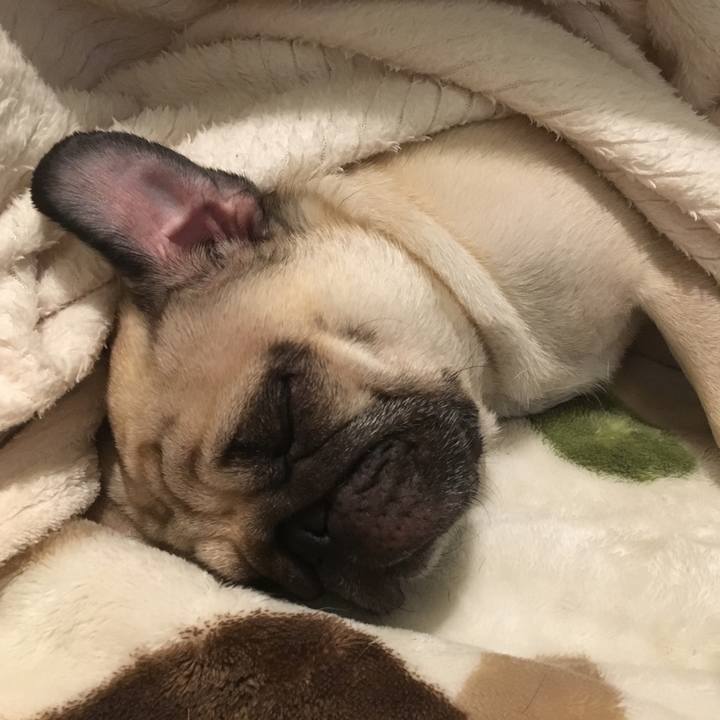 Eecd2cf7 3fe9 4baf af44 1c82ee8450a4