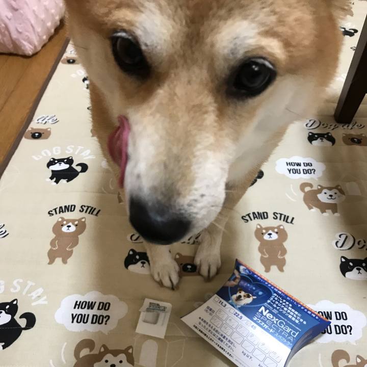 Eecdd871 8f90 4635 8042 1156433370a9