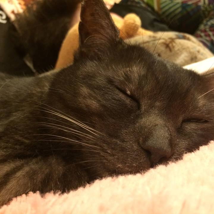 Eecebc63 565a 4f6b ad7e 017bccf5ccc7