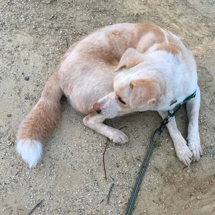 Eececc5b a9ce 40ae 9aac 938ba8a50c18