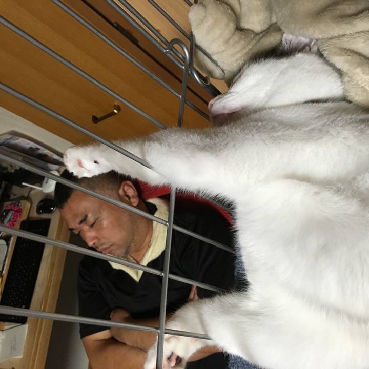 Eeced785 081b 4489 9738 7296a1003274