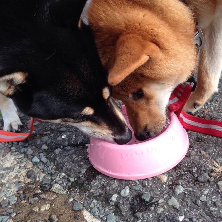 Eed099ed e449 4464 9f43 bd9dfbcf3a7e