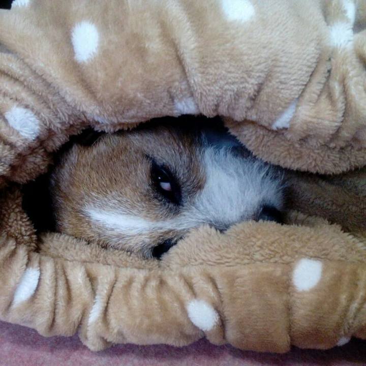 Eed0bf93 d10e 47f7 bc25 14ddfe812d54