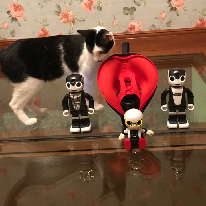 Eed13c2a c0c8 4bd1 a8ee 1630d8f9fb6b