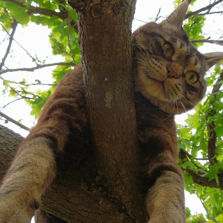 Eed16c26 5e87 4043 acf9 d700add8b975