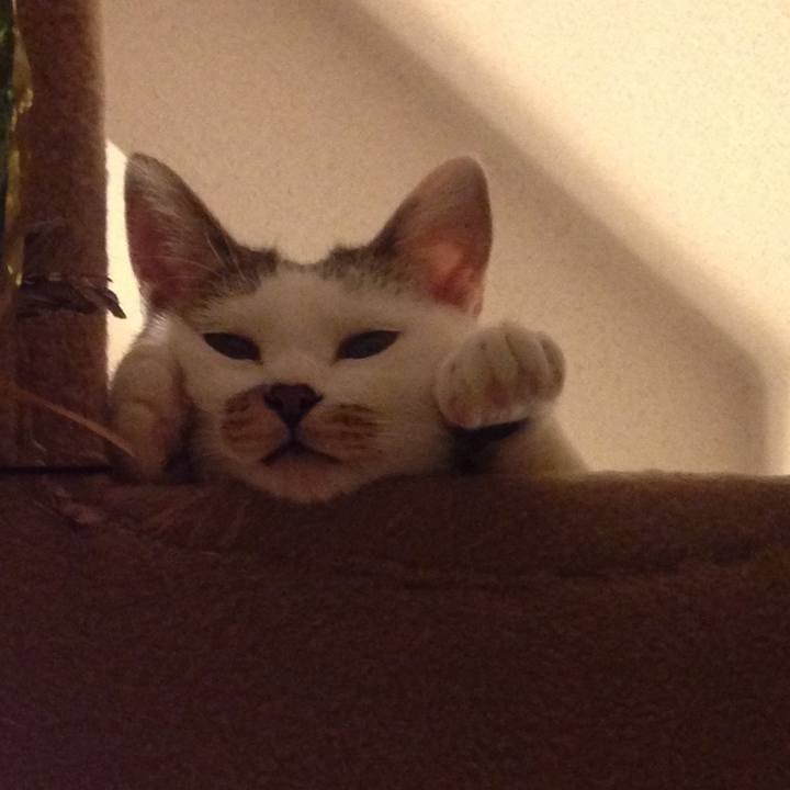 Eed19d66 4aed 4485 ad73 4cc6d3f08f63