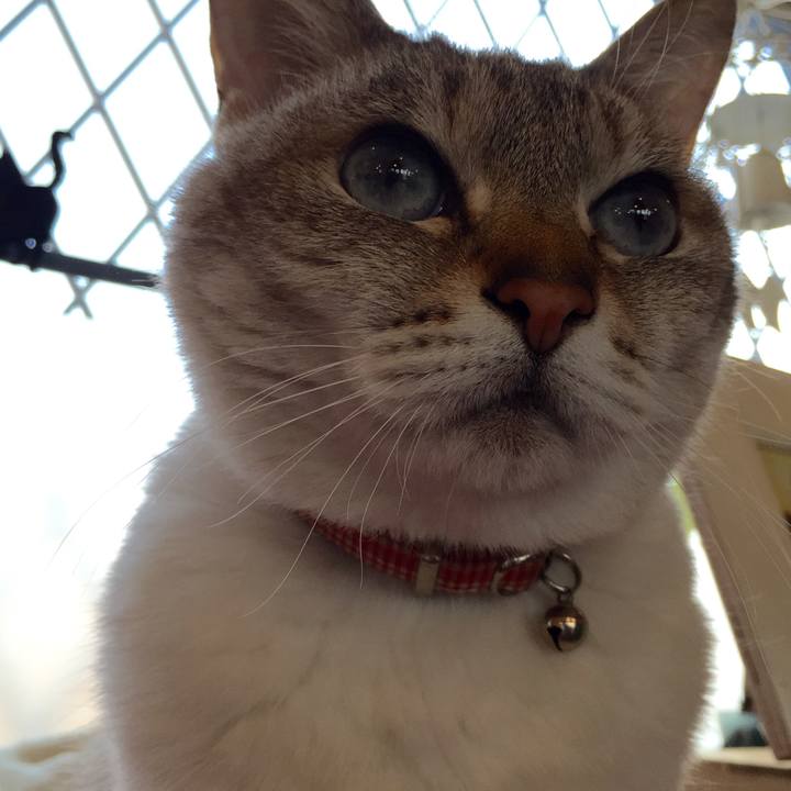 Eed1bdf1 bc4d 45c0 8c87 358a8343d1f8