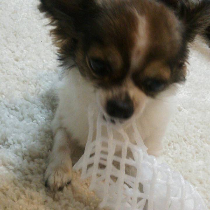 Eed1ff13 74d5 45db a2c3 9e885b3848a2