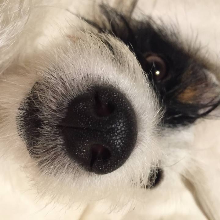 Eed2a564 560a 4c17 80c5 1e2e6464b911