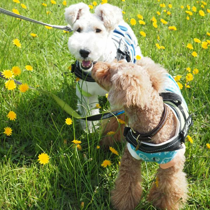 Eed2b9fb 90ee 477d 9718 b4bc17e3e0d8